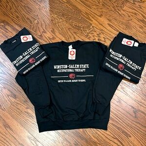 Hanes sweatshirt Winston-Salem State Occupational Therapy sizes S, M, L